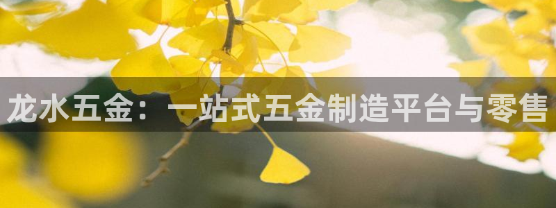 琳琅娱乐工作室地址