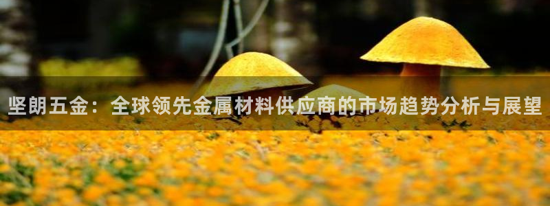 琳琅娱乐APP下载