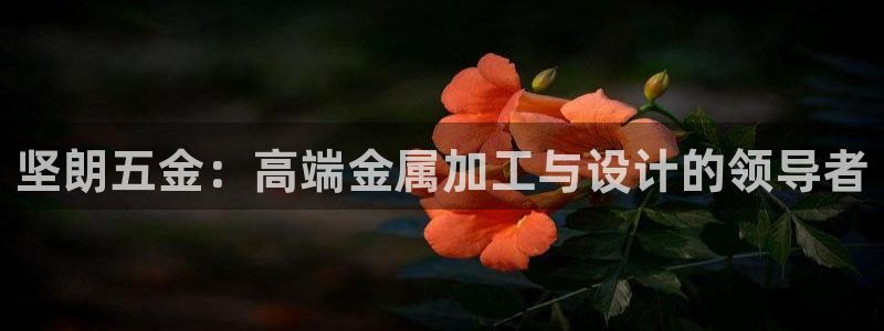 琳琅国际娱乐会所电话