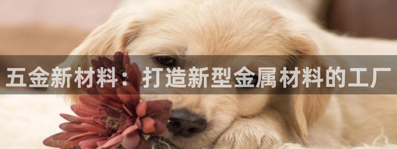 琳琅科技娱乐机器人插件