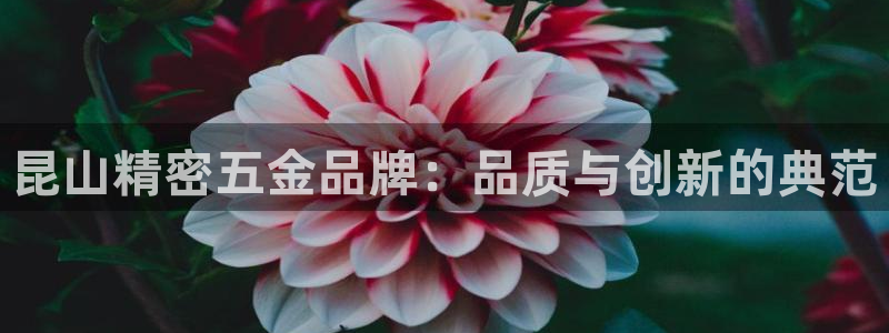 琳琅娱乐场所在哪里