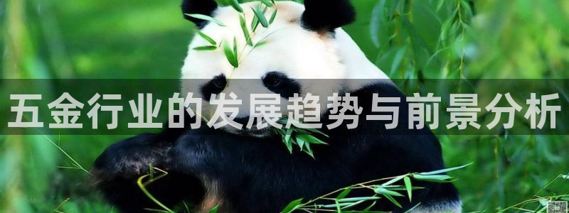 琳琅作者娱乐圈女主