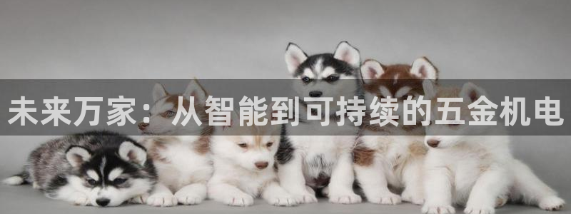 琳琅社区娱乐视频