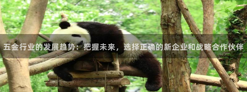 琳琅娱乐代理怎么做的