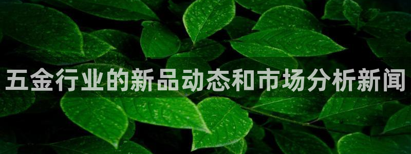 琳琅天上qq飞车娱乐