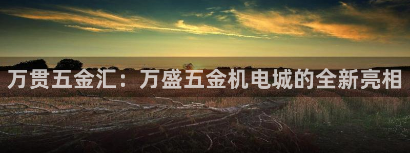 琳琅科技娱乐机器人教程