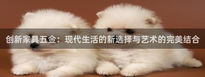 琳琅天上qq飞车娱乐