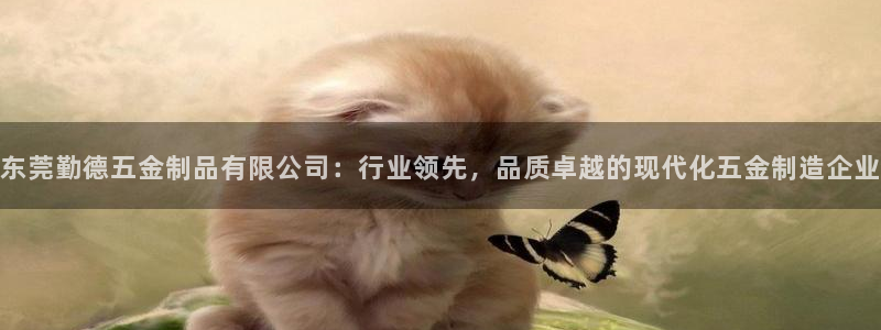 琳琅娱乐场所有哪些