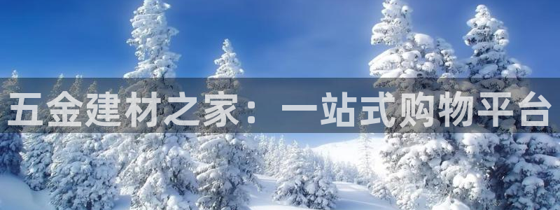 琳琅科技娱乐机器人