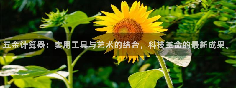 琳琅国际娱乐会所怎么样