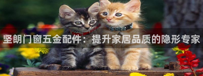 琳琅娱乐机器人