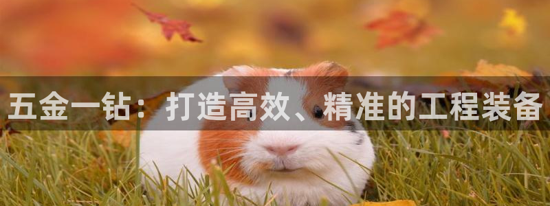 琳琅社区综艺文化娱乐