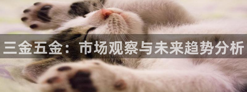 琳琅娱乐温柔乡网站