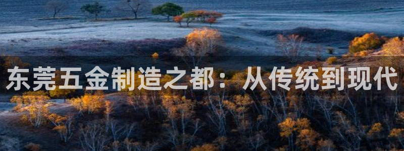 琳琅社区娱乐视频