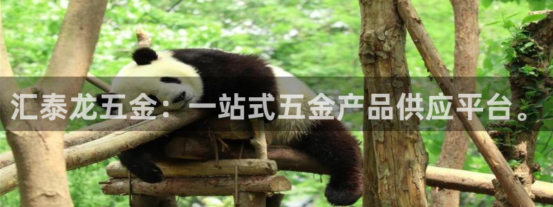 琳琅娱乐APP下载