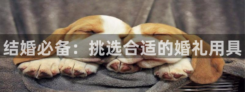 琳琅娱乐工作室怎么样