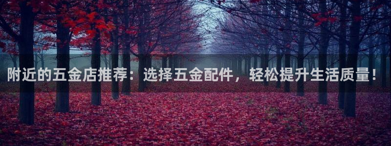 琳琅娱乐代理怎么做的