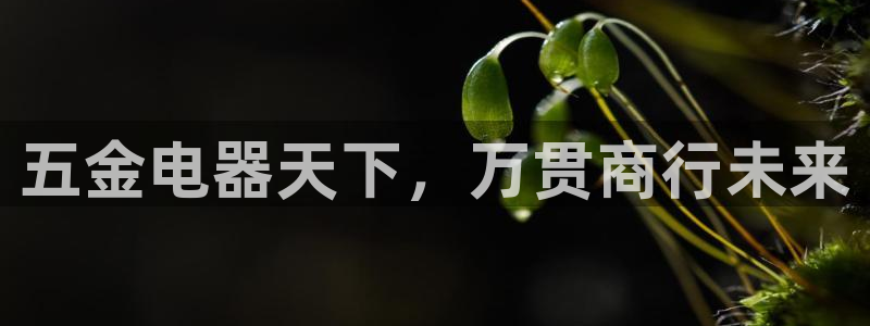 琳琅娱乐代理21192