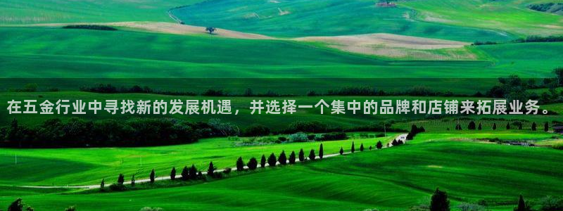 琳琅科技娱乐机器人插件