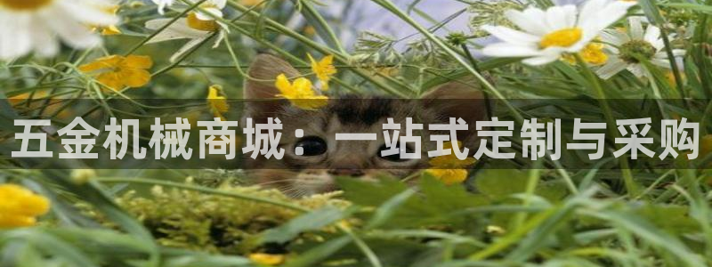 琳琅国际娱乐会所怎么样