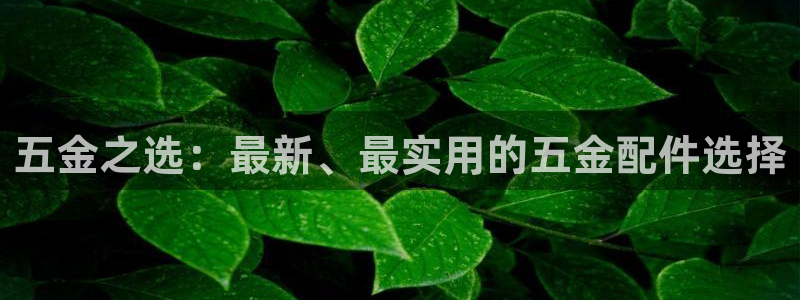 琳琅娱乐社区600u