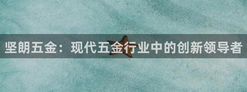 琳琅科技娱乐机器人