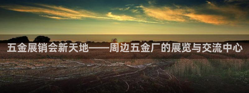 琳琅满目的娱乐设施