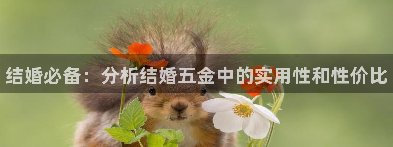 琳琅QQ娱乐机器人