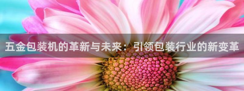 琳琅娱乐代理人是谁