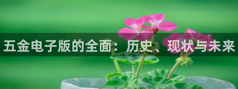 琳琅科技娱乐机器人