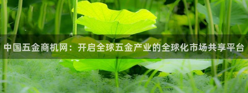 琳琅娱乐工作室怎么样啊