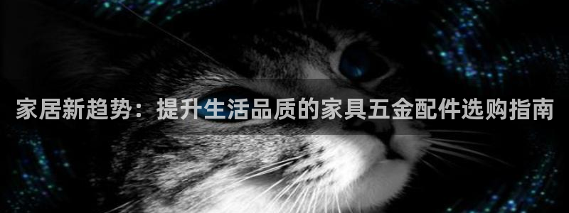 琳琅娱乐代理人是谁