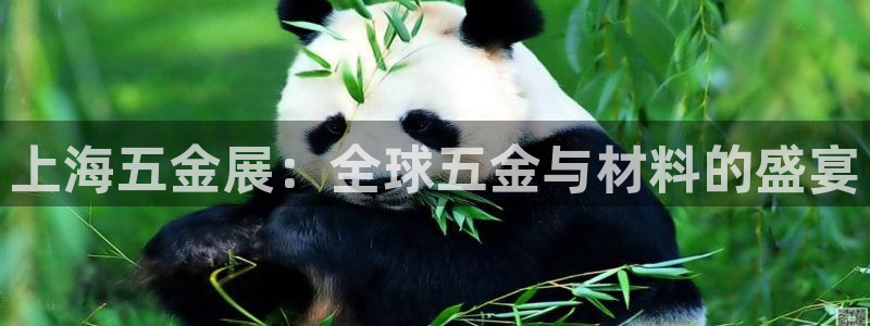 琳琅国际娱乐会所电话