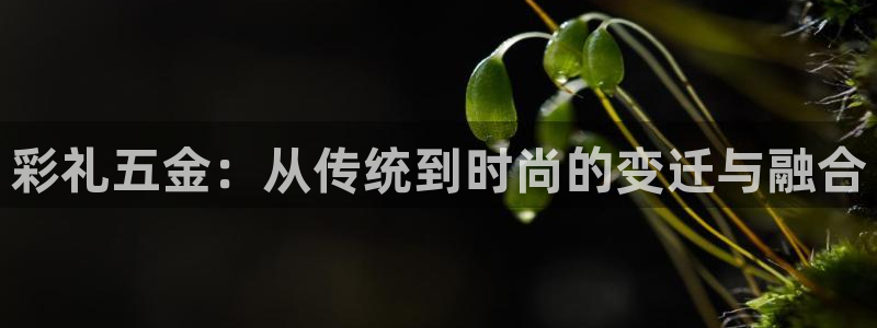 琳琅娱乐社区600