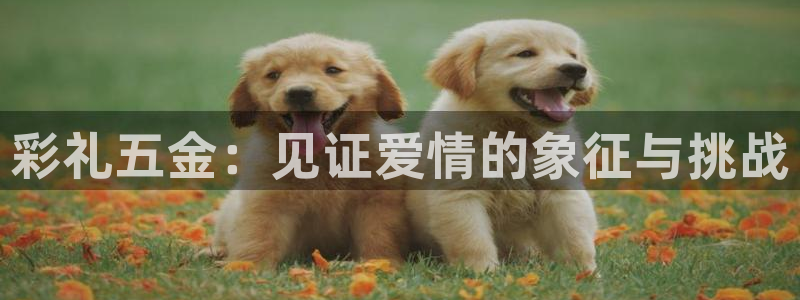 琳琅娱乐工作室怎么样