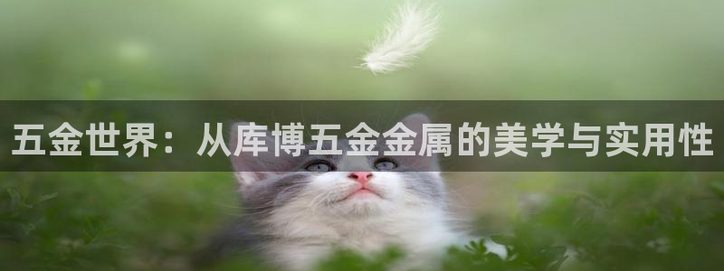 qq飞车琳琅娱乐组